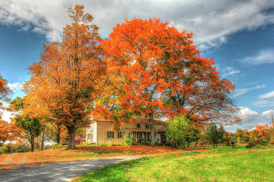 Tree Photograph - Home Sweet Home by Robert Goldwitz