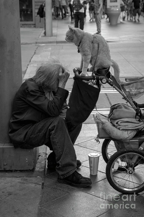 Black And White Photograph - Homeless by FineArtRoyal Joshua Mimbs