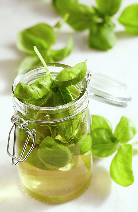 Homemade Basil Vinegar In A Glass With Fresh Basil And Aceto Balsamico Bianco Photograph by Teubner Foodfoto