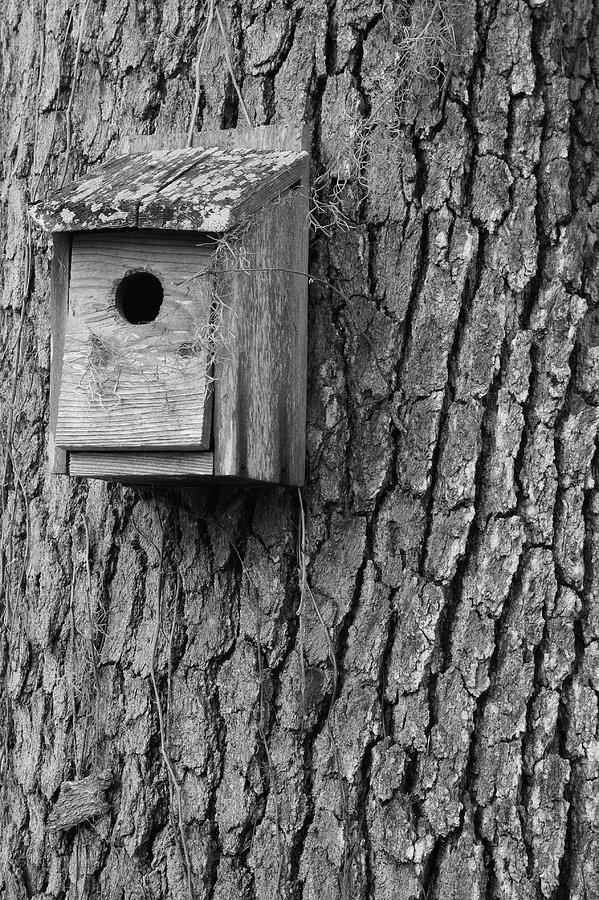Homemade Birdhouse Photograph by Brian Bishop