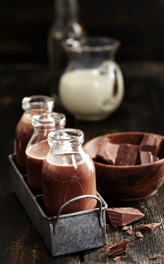 Homemade Chocolate Liqueur With Cocoa, Cream, Honey And Rum Photograph by Teubner Foodfoto