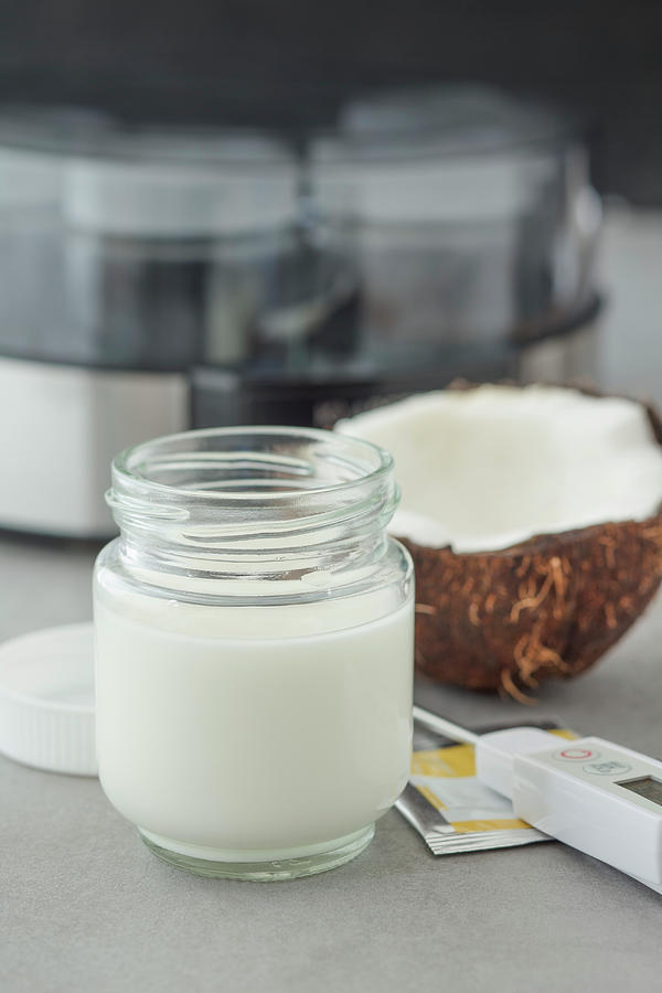 Homemade Coconut Yoghurt With Agar-agar In A Yoghurt Maker vegan Photograph by Jan Wischnewski