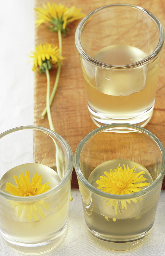 Homemade Dandelion Schnapps With Fresh Flowers Photograph by Teubner Foodfoto