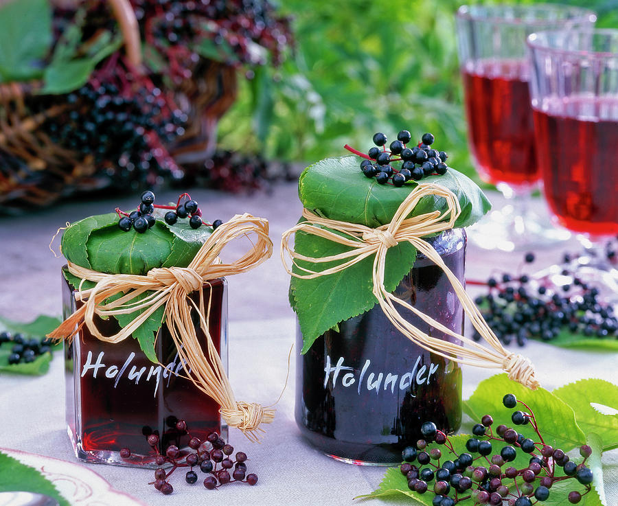 Homemade Elderberry Jelly Photograph by Friedrich Strauss
