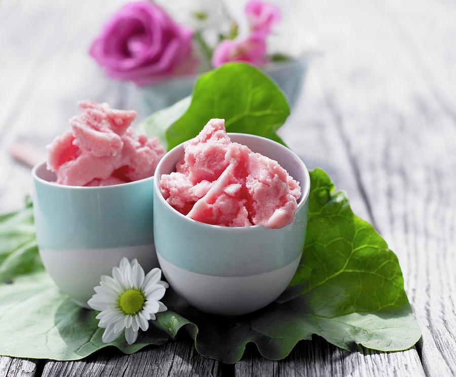 Homemade Rhubarb Ice Cream Photograph by Mikkel Adsbl