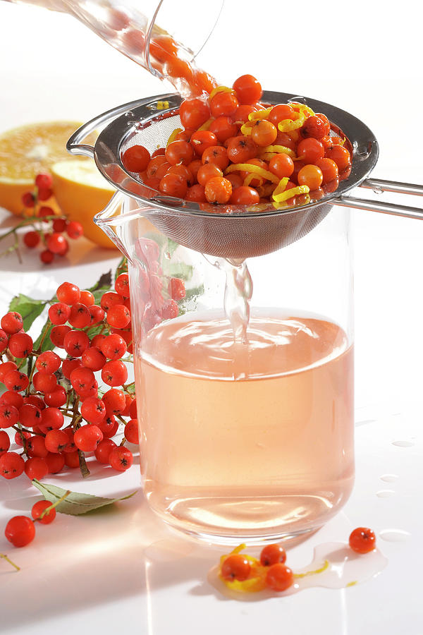 Homemade Rowan Berry Vinegar With Orange Zest Photograph by Teubner Foodfoto