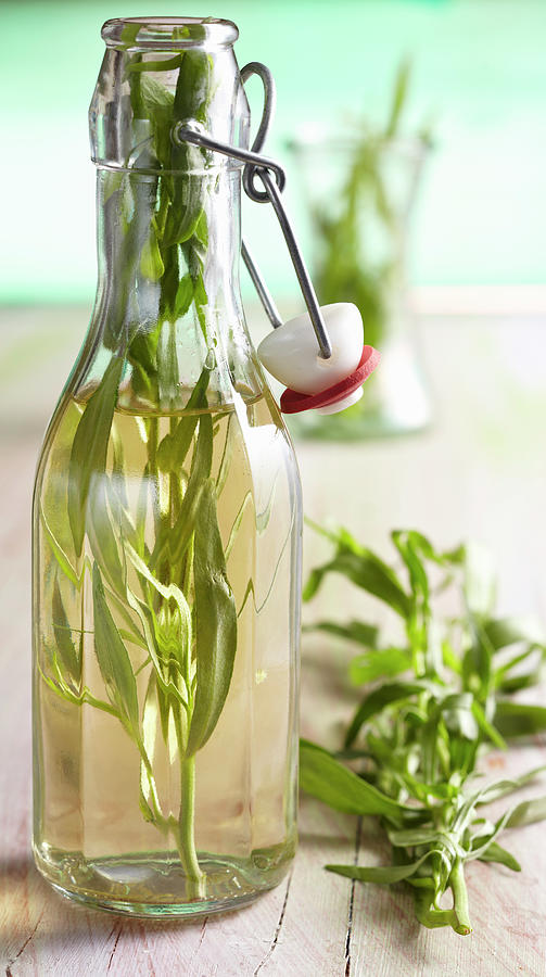 Homemade Tarragon Vinegar In A Glass Bottle Photograph by Teubner Foodfoto