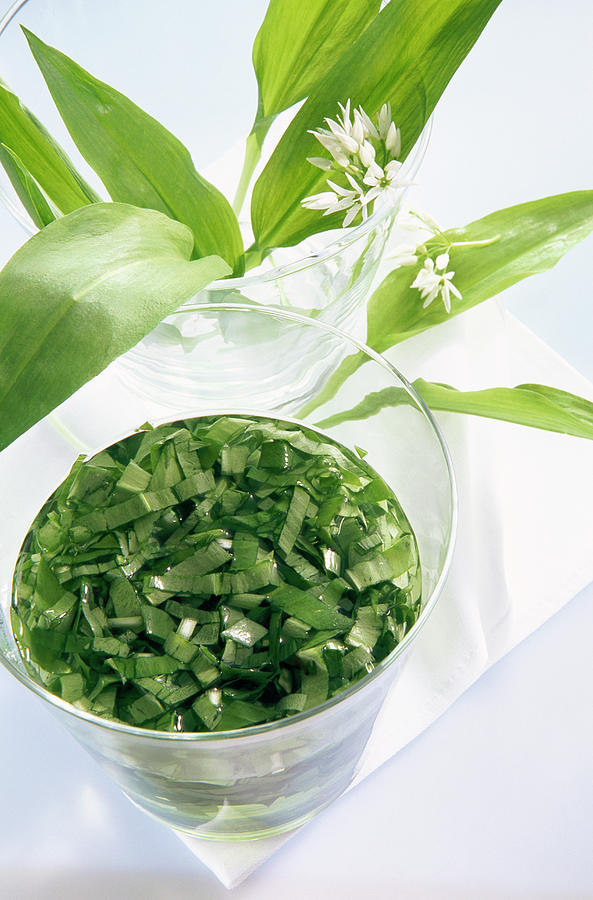 Homemade Wild Garlic Schnapps In A Glass With Fresh Leaves Photograph by Teubner Foodfoto