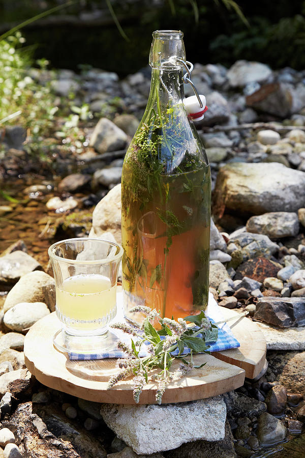 Homemade Wild Herb Lemonade In A Glass And A Bottle Photograph by Heidi Frhlich
