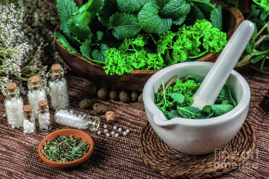 Homeopathic Remedies Photograph by Microgen Images/science Photo Library