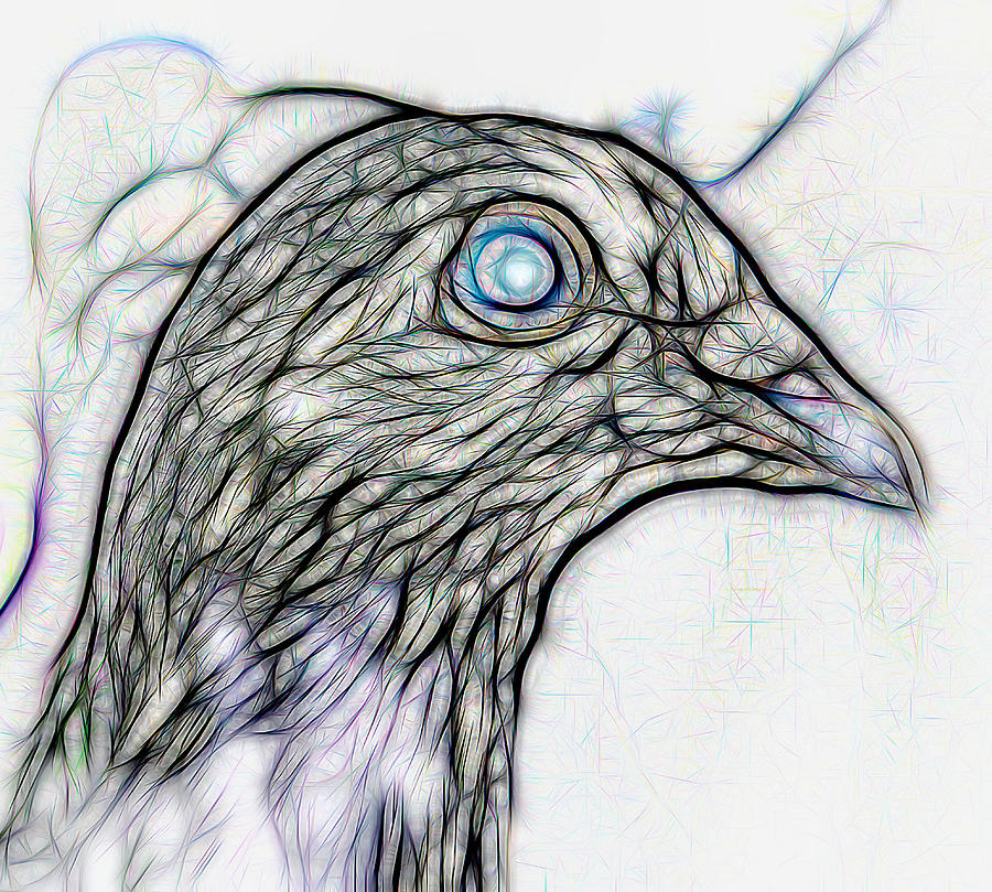 Homer Pigeon Up Close on White Digital Art by Don Northup