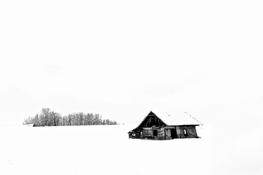 Homestead Mid January Photograph by Brian Sereda