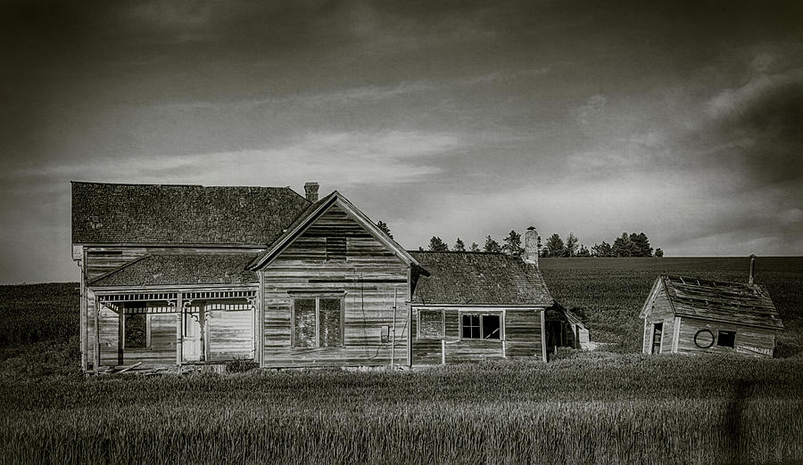 Washington State Photograph - Homestead on the Palouse, Washington, State 2 by Minnetta Heidbrink