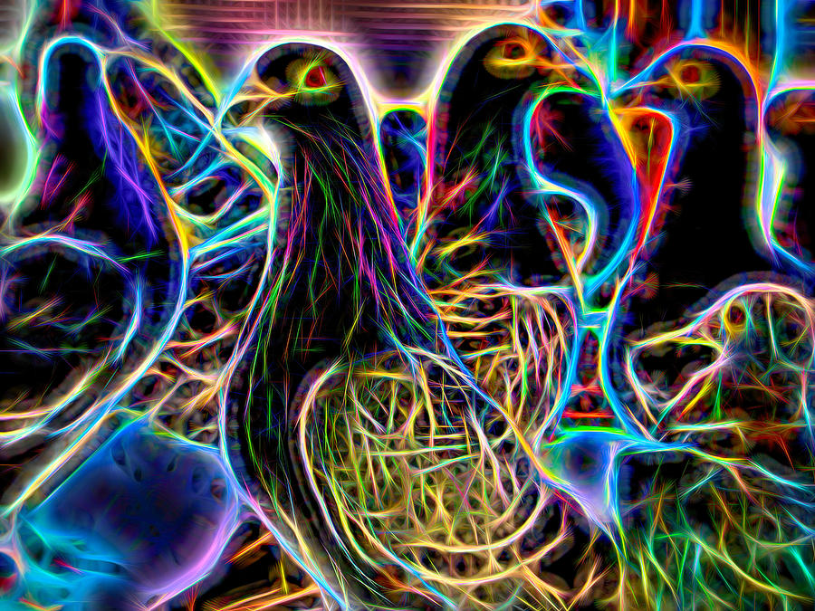 Homing Pigeon Group Neon Photograph by Don Northup