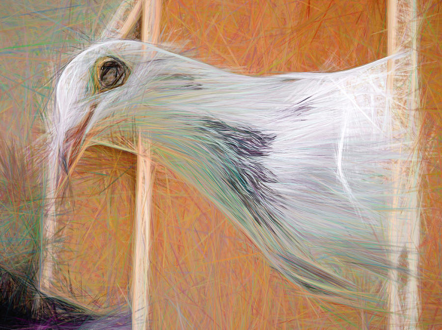Homing Pigeon Smeared Digital Art by Don Northup