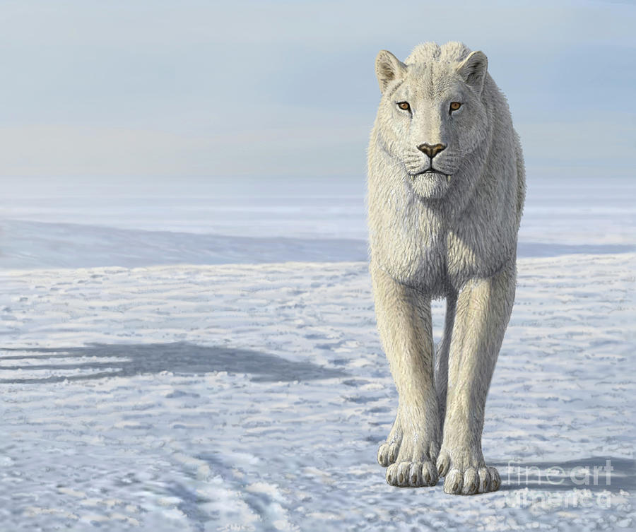 Homotherium Sabretooth Cat In The Arctic Photograph by Mauricio Anton/science Photo Library