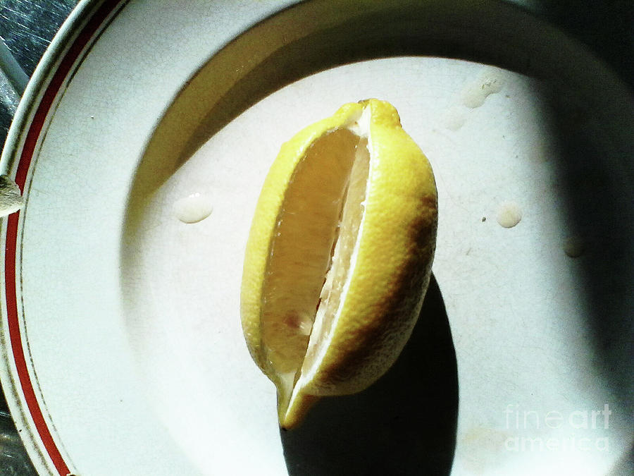 Honest Lemon Photograph by Rebecca Harman