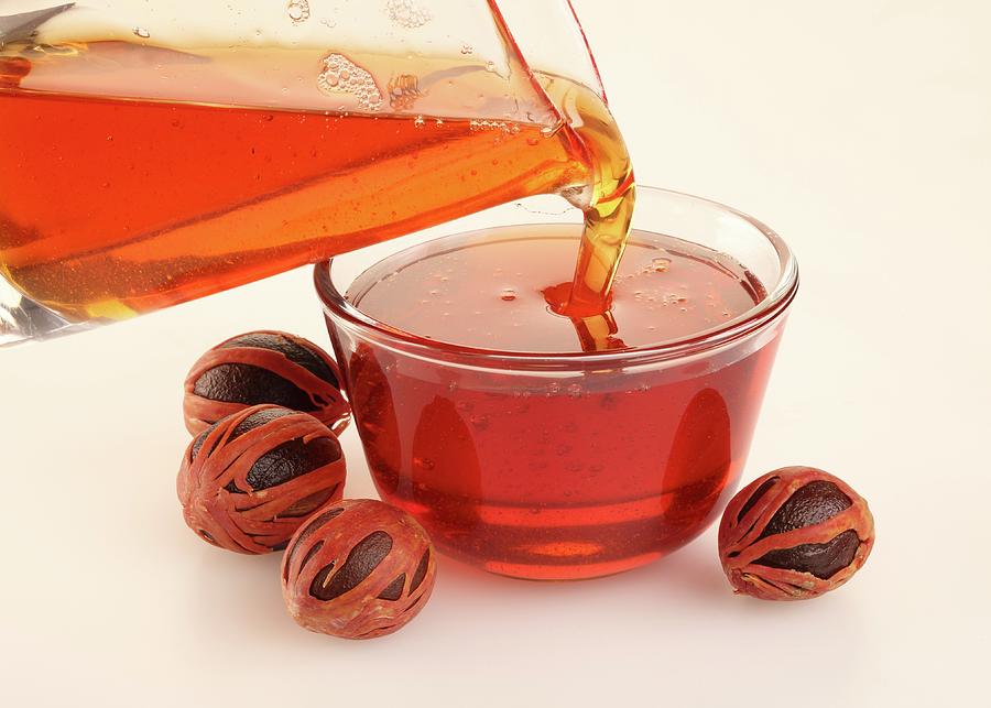 Honey And Nutmegs Photograph by Foodfolio Pixels