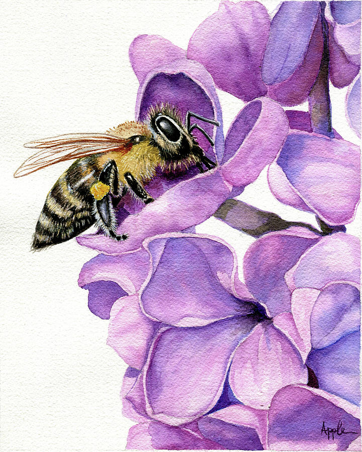 Honey Bee and Lilacs Painting by Linda Apple