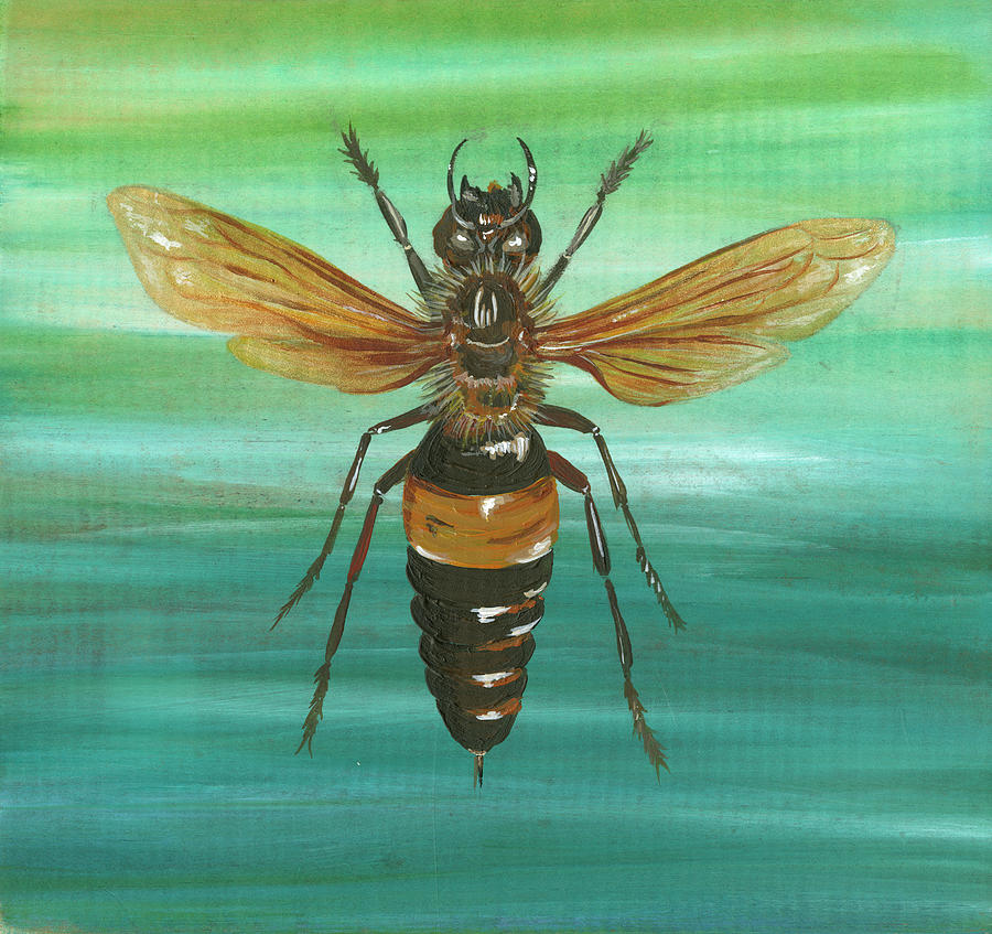 Honey Bee Painting - Honey Bee by Gigi Begin