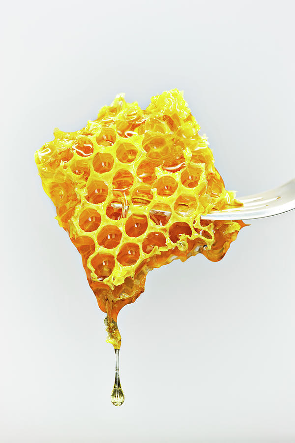 Honey Comb On A Fork Photograph by David Muir