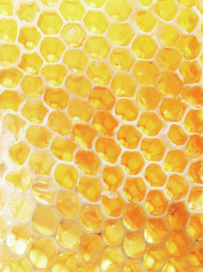 Honeycomb Closeup Photograph by Lauren Burke