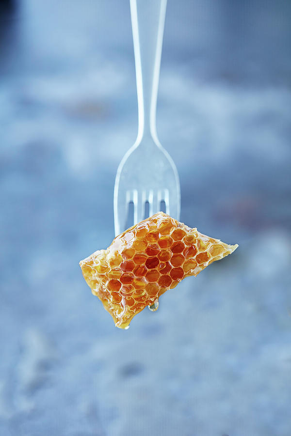 Honeycomb On A Fork Photograph by Rafael Pranschke