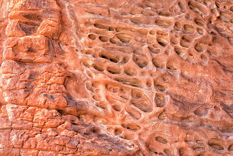 Honeycomb Rock Photograph by Joseph S Giacalone