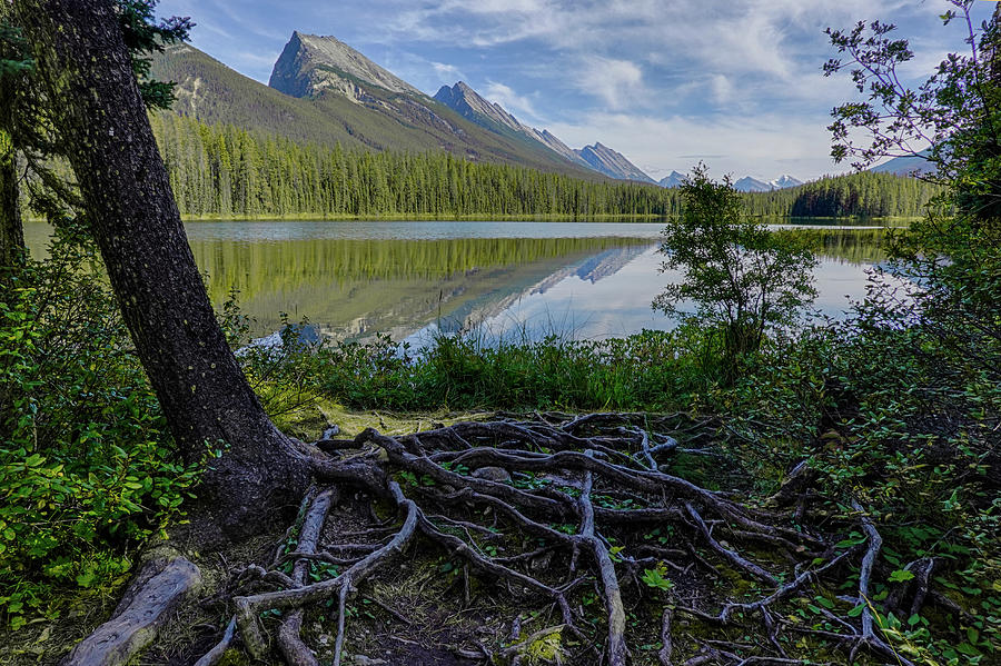 Honeymoon Lake Jasper National Park Endless Ridge Chain mountain range Through the trees Photograph by Toby McGuire