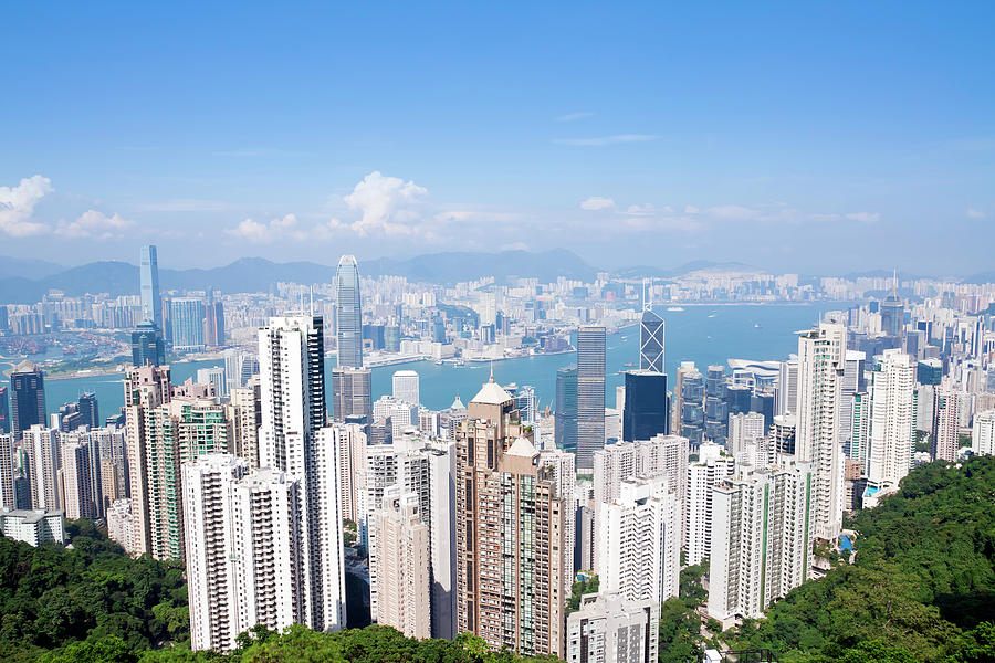 Hong Kong Skyline Photograph by V2images