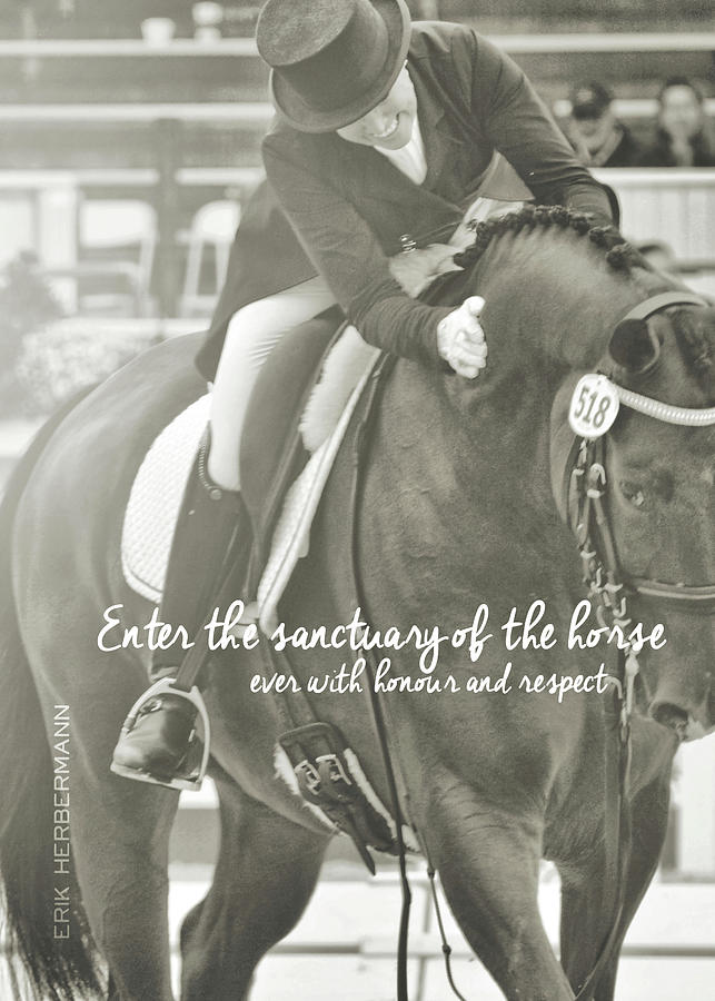 HONOUR AND RESPECT quote Photograph by Dressage Design