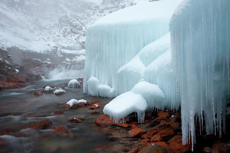 Honshu Island, Nagano, Japan. Icicles Photograph by Mint Images/ Art Wolfe
