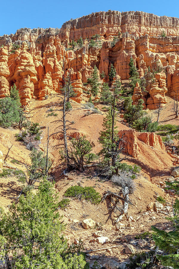 Hoodoo Cliffs of Red Canyon Photograph by W Chris Fooshee