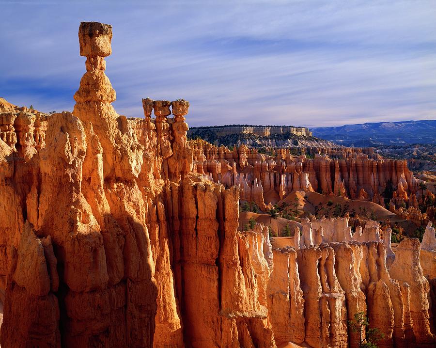 Hoodoo Formations, Thors Hammer, Bryce Photograph by Design Pics/david L. Brown