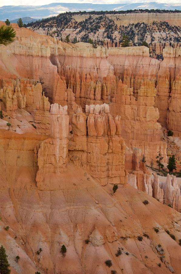 Hoodoo of Bryce Canyon Photograph by Caroline Stella