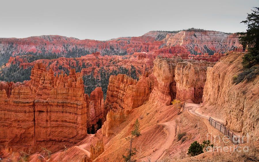 Hoodoo Time Bryce Canyon National Park Color  Photograph by Chuck Kuhn