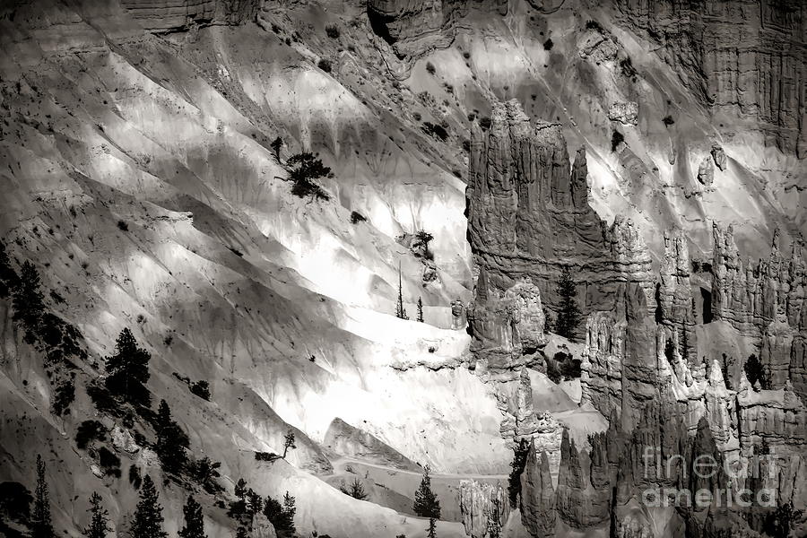 Hoodoos Black White Utah  Photograph by Chuck Kuhn