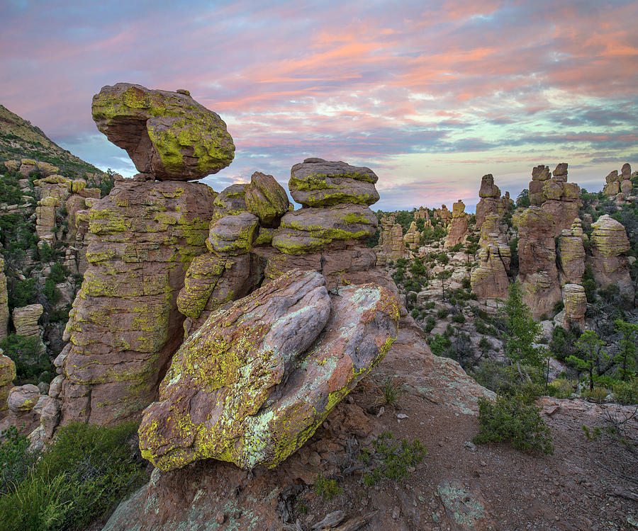 Hoodoos From Ai Point Nature Trail, Echo Canyon, Chiricahua Nm, Arizona Photograph by Tim Fitzharris