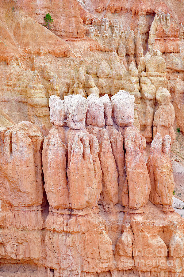 Hoodoos from Bryce Photograph by Amazing Action Photo Video