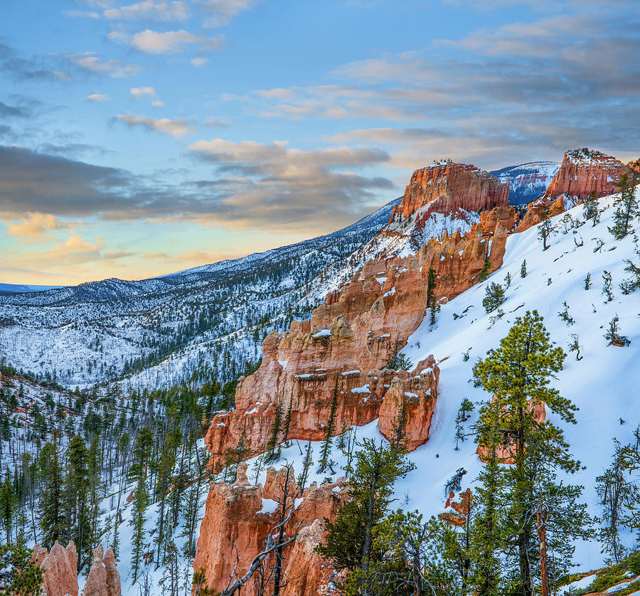 Hoodoos In Winter, Bryce Canyon National Park, Utah Photograph by Tim Fitzharris