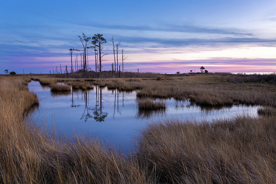 Hoopers Island Photograph by Ed Vaden Fine Art America