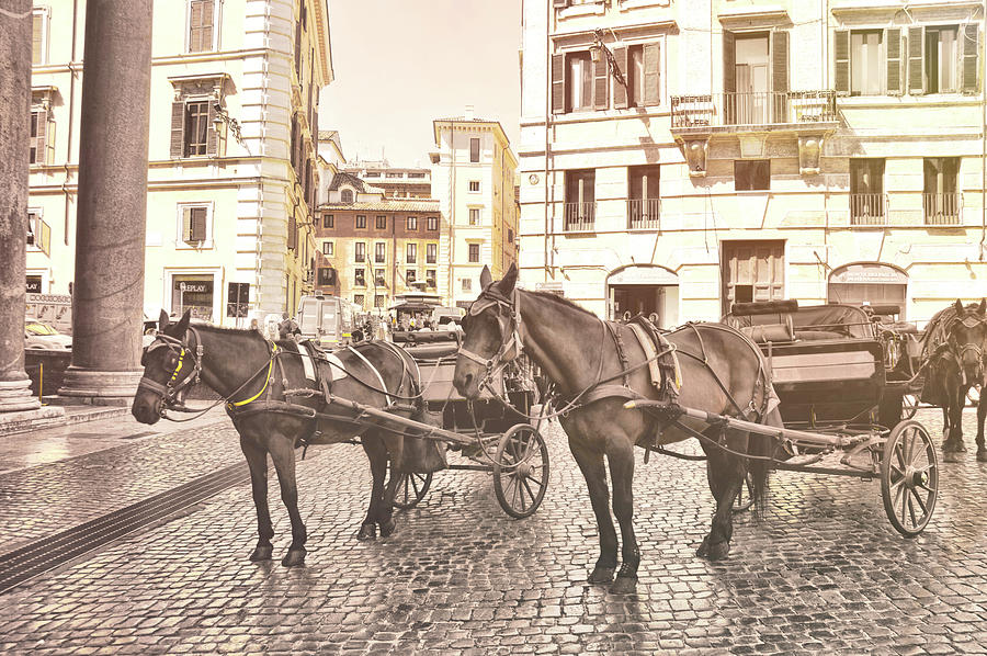 Hooves On Cobblestone Photograph by Dressage Design