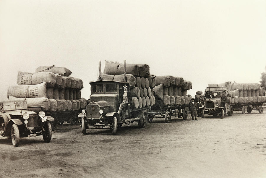 Hop Transport Photograph By Vaclav Mach