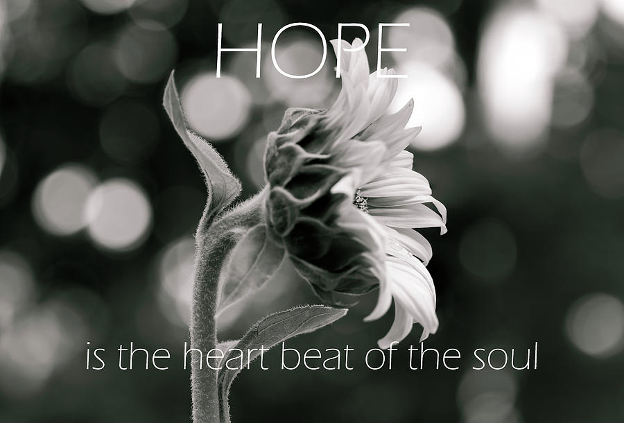 Hope is the Heartbeat Photograph by Norma Brandsberg