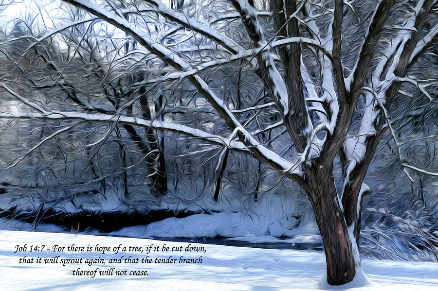 Hope of a Tree Painting Digital Art by Sandra Js