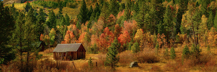 Hope Valley Cabin Photograph by John Hight
