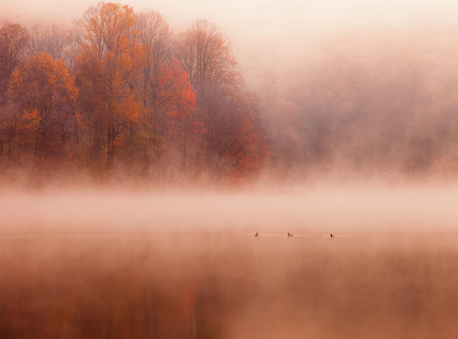 Hopewell Lake, French Creek State Park Photograph by Michael Lawrence Photography