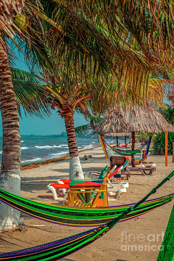 Hopkins Bay Resort Belize Photograph