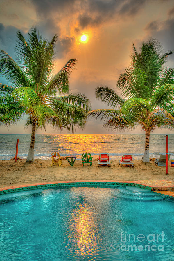 Hopkins Belize Beach Pool  Photograph by David Zanzinger