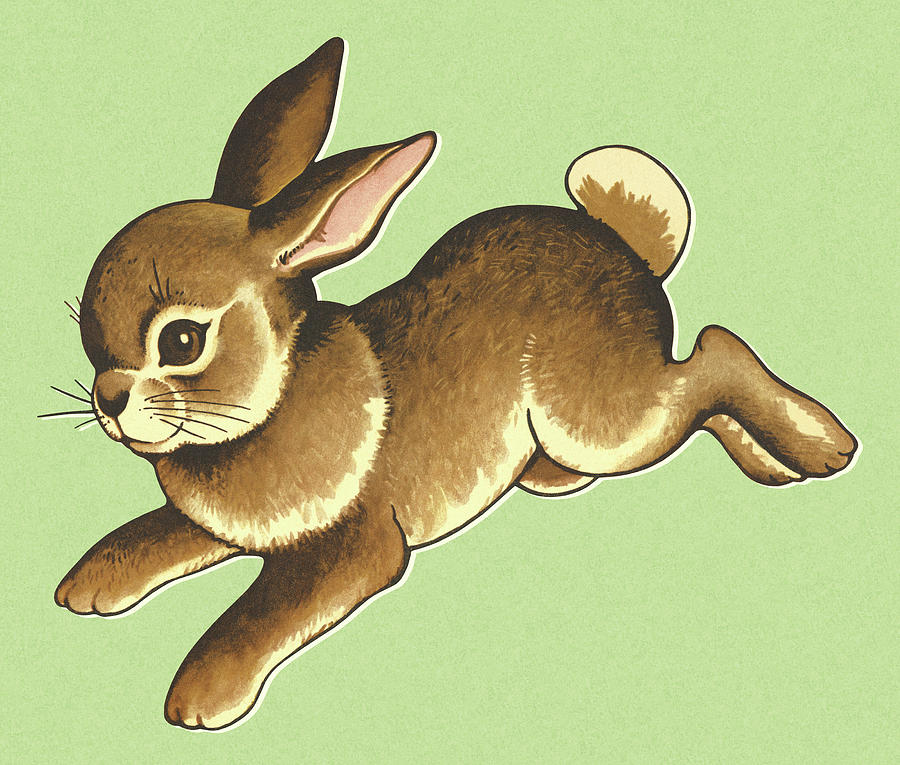 Hopping Rabbit Drawing by CSA Images Fine Art America